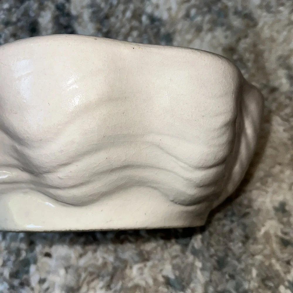Large‎ Ceramic Seashell Bowl